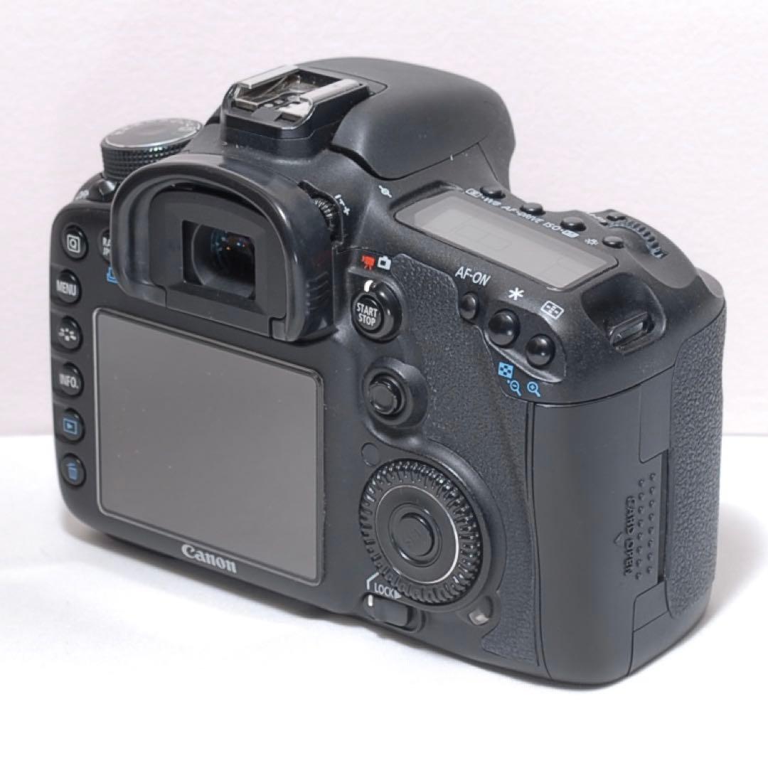 超望遠レンズデビュー✨Canon EOS 7D✨ダブルレンズ✨ストロボ付