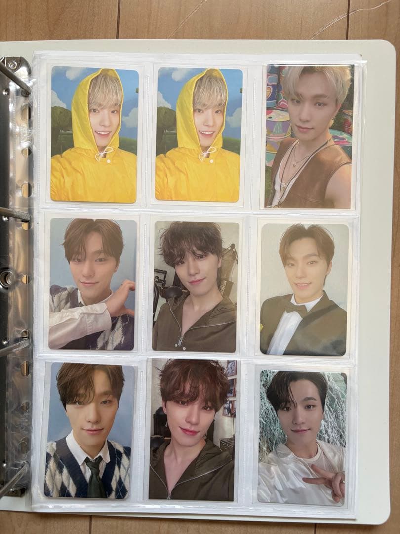 seventeen セブチ ディノ DINO まとめ売り