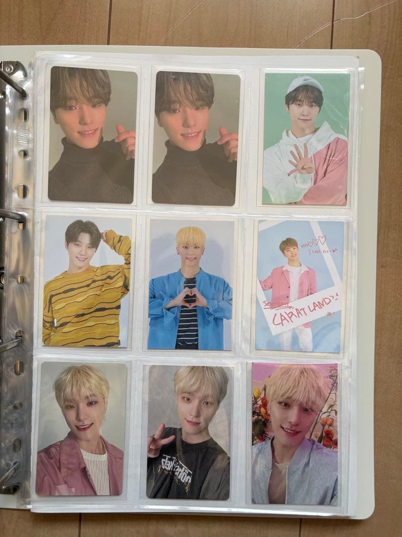 seventeen セブチ ディノ DINO まとめ売り