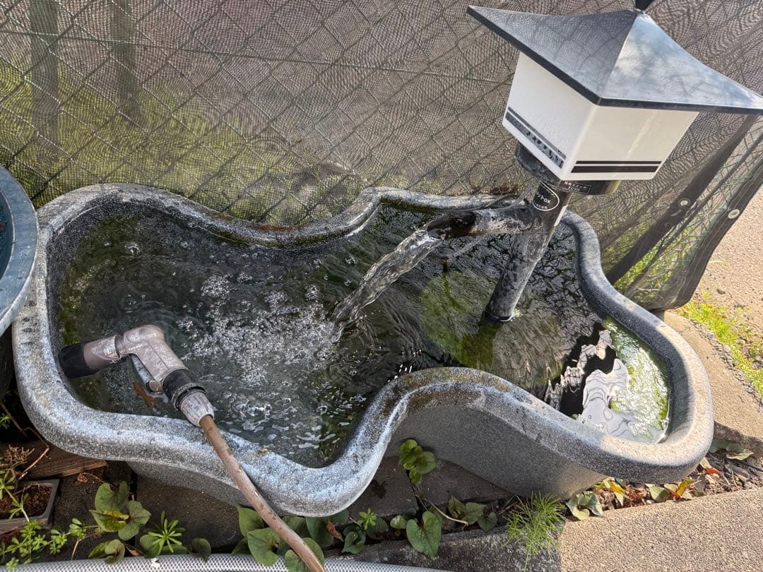 タカラ みかげ調プラ池 D65