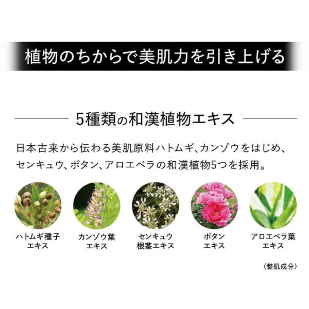 江原道 ザ・パウダー 2点 Koh Gen Do The POWDER 5g