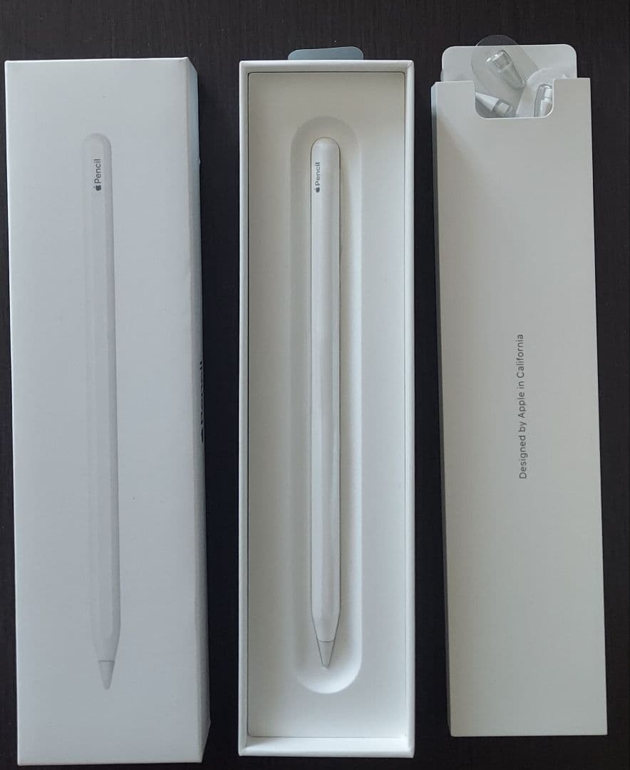 Apple Pencil 第2世代 【純正チップ3つ付き