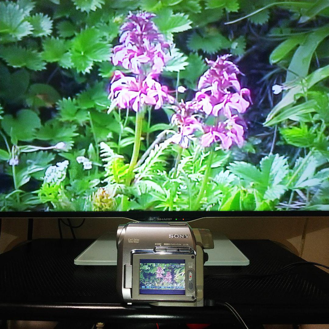 SONY Mini DV Handycam DCR-HC40 NTSC 再生可能