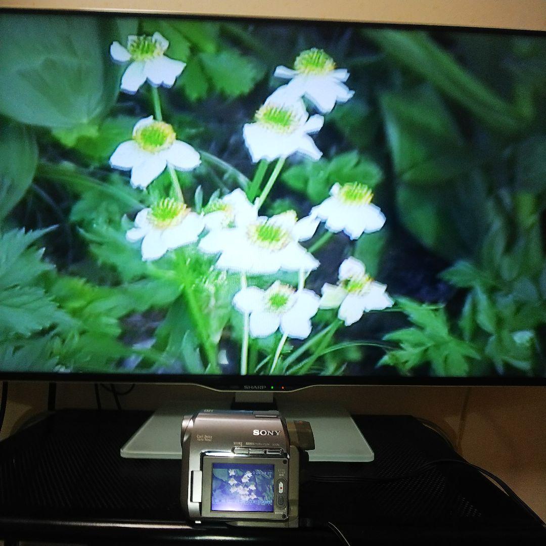 SONY Mini DV Handycam DCR-HC40 NTSC 再生可能