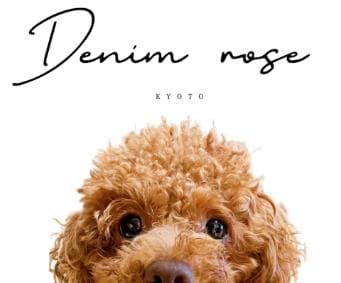 【DENIM ROSE】完売品✿小型犬用プードルワッペンパーカー ボルドーL