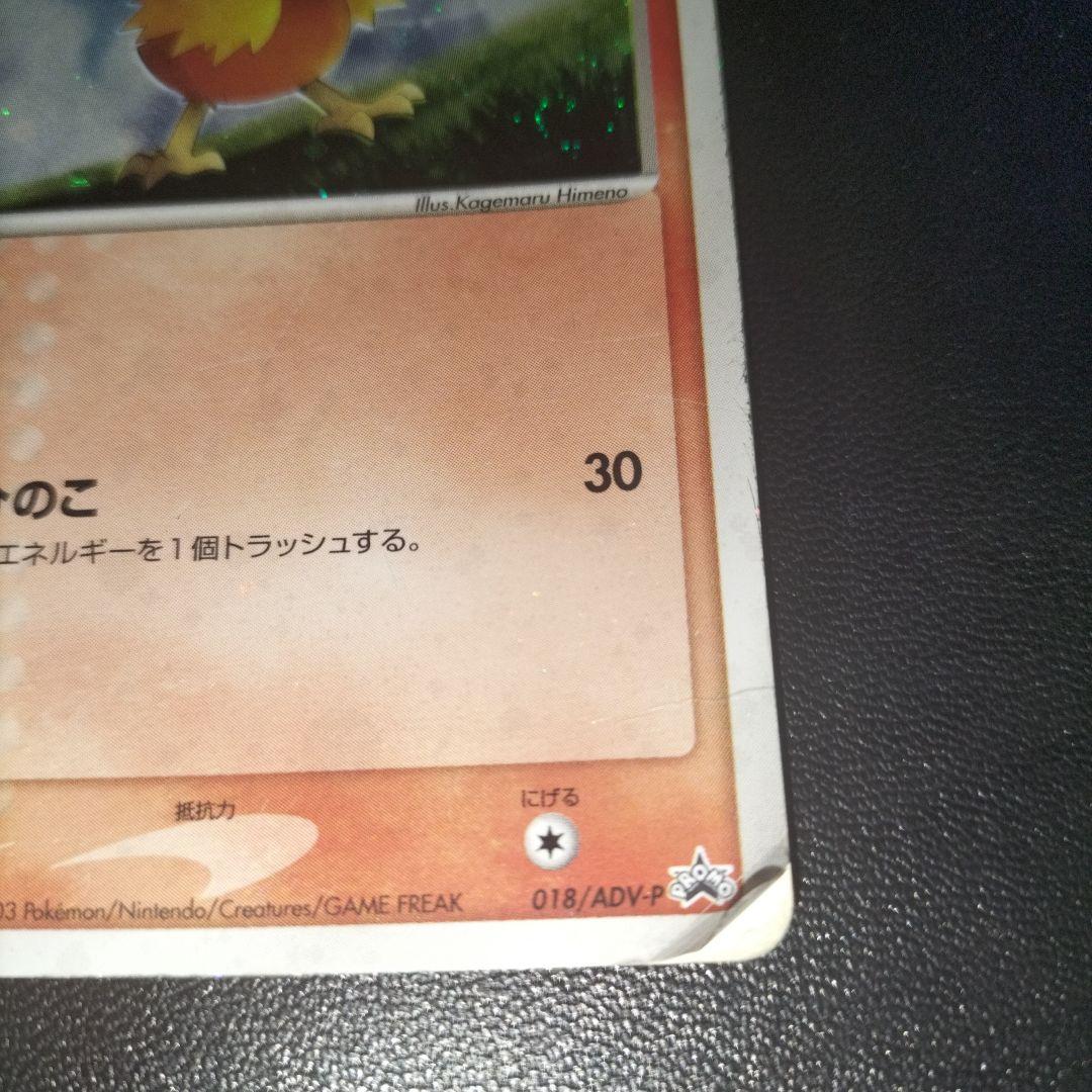 エビワラーex アチャモプロモ　全面ホロ　holobleed　ポケモンカード