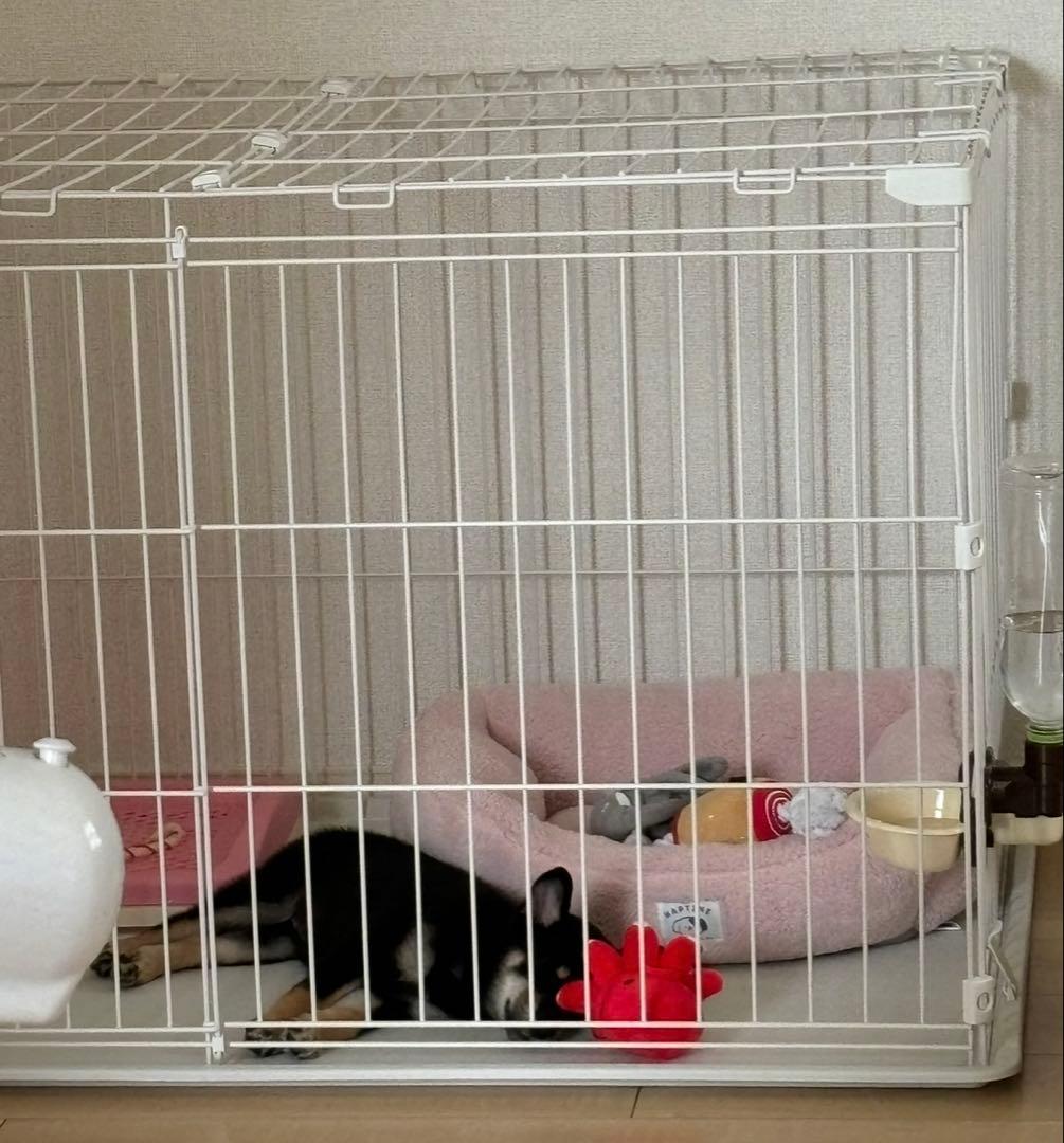 屋根付き犬用サークル 113cm