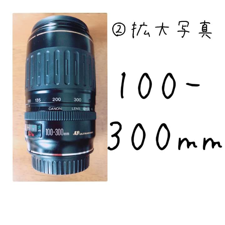 大幅値下げCanon EOS10 一眼レフカメラ