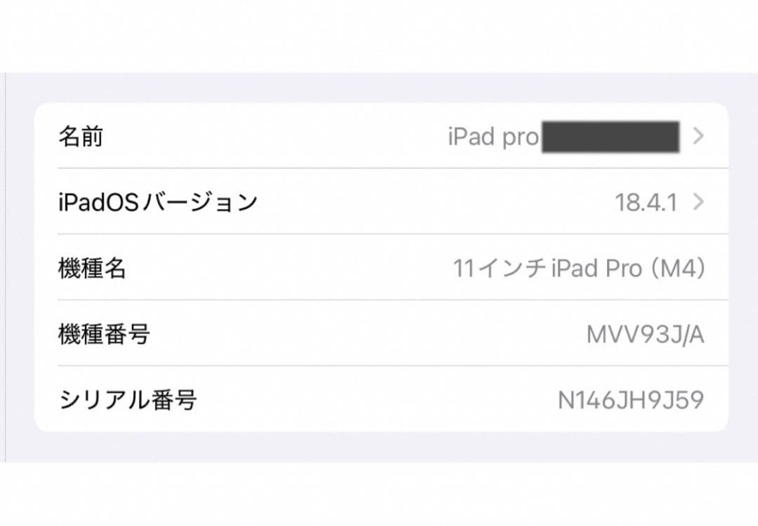 美品 iPad Pro 11インチ 第5世代 M4 256GB wi-fiモデル