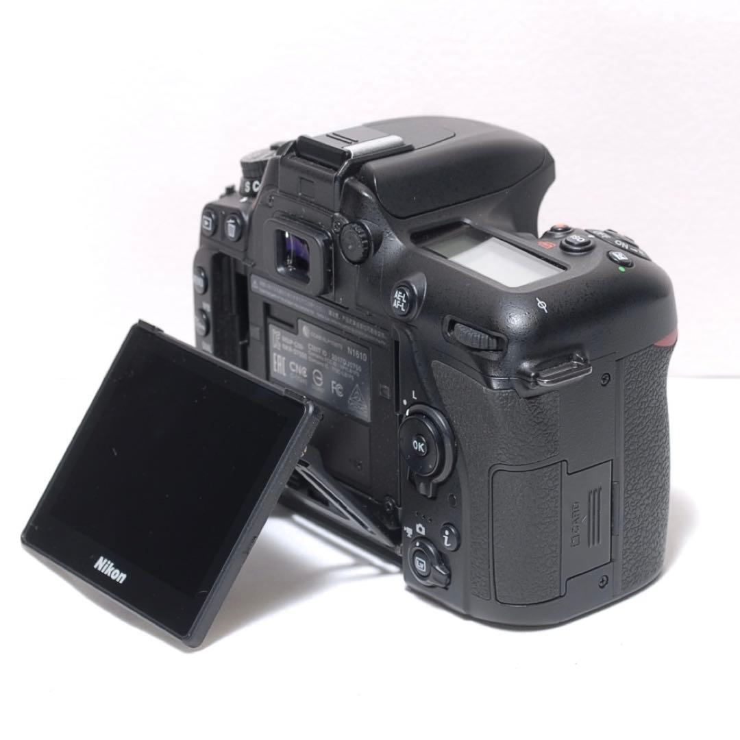 美品✨高速連写✨Nikon D7500✨野球観戦に✨4K 動画✨ダブルレンズ