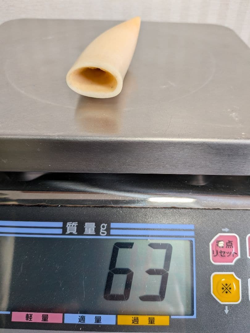 マッコウ歯歯　本物磨き済み美品