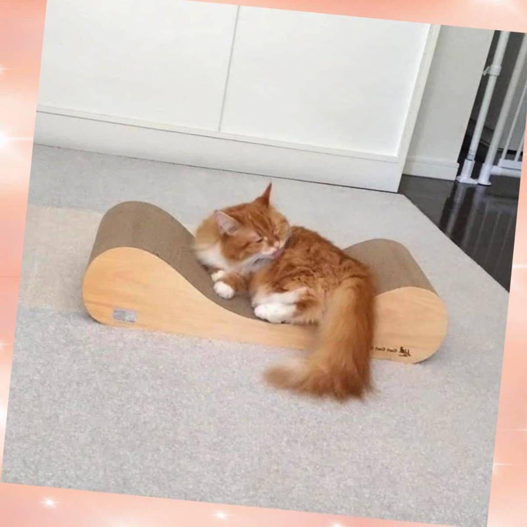 ❤愛猫ちゃんの爪研ぎとしてのみならず寛げるソファーやベッドとしても大活躍♪❤