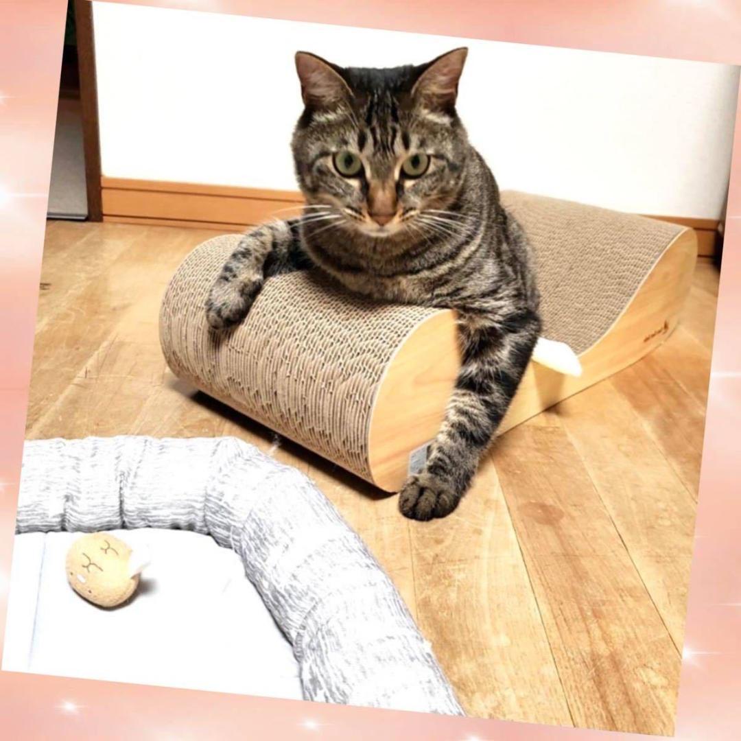 ❤愛猫ちゃんの爪研ぎとしてのみならず寛げるソファーやベッドとしても大活躍♪❤