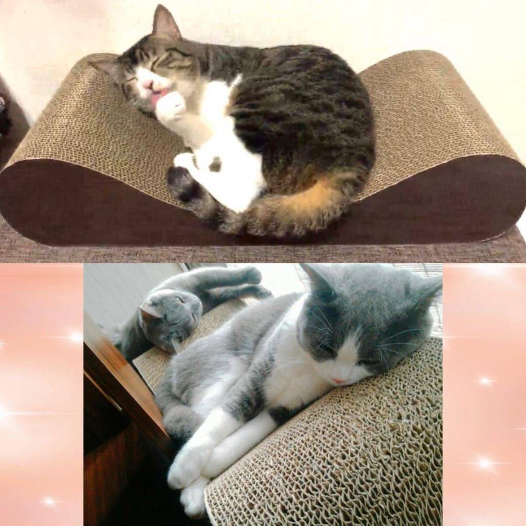 ❤愛猫ちゃんの爪研ぎとしてのみならず寛げるソファーやベッドとしても大活躍♪❤