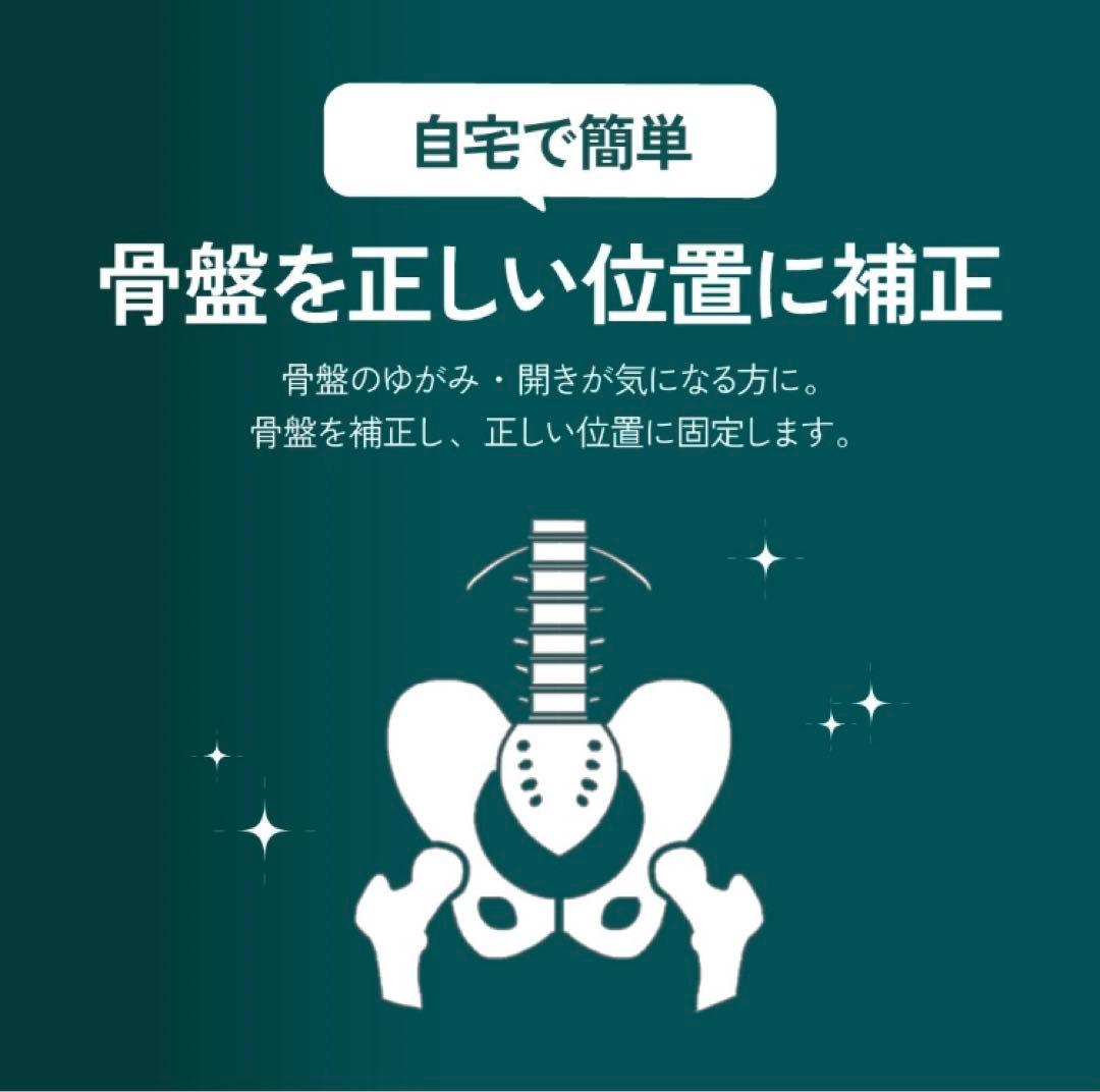 【正規品】ガードナーベルト　Lサイズ