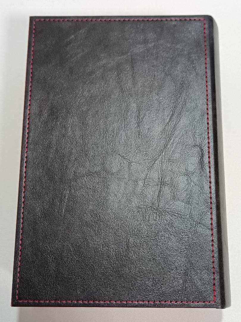 ARTPICAL Lucifer イヤホン 美品