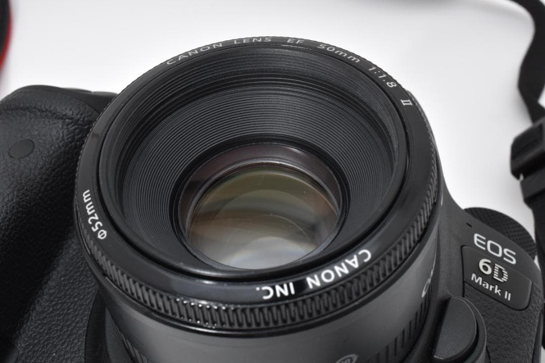 【超美品】キャノン EOS 6D Mark II レンズキット 箱付き #437