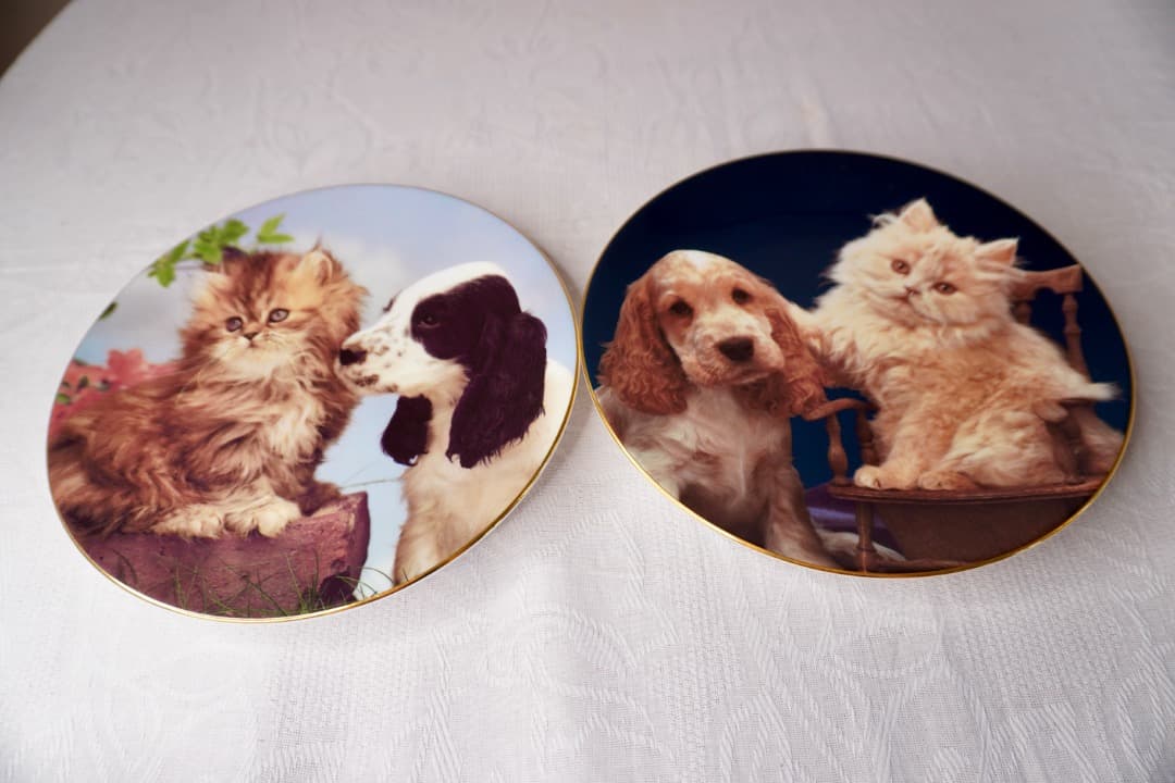 イギリス ヴィンテージ 犬 猫 絵皿 2枚セット コレクションプレート