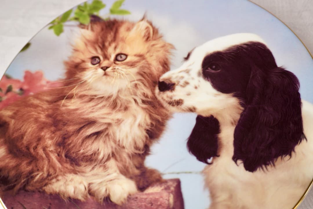 イギリス ヴィンテージ 犬 猫 絵皿 2枚セット コレクションプレート