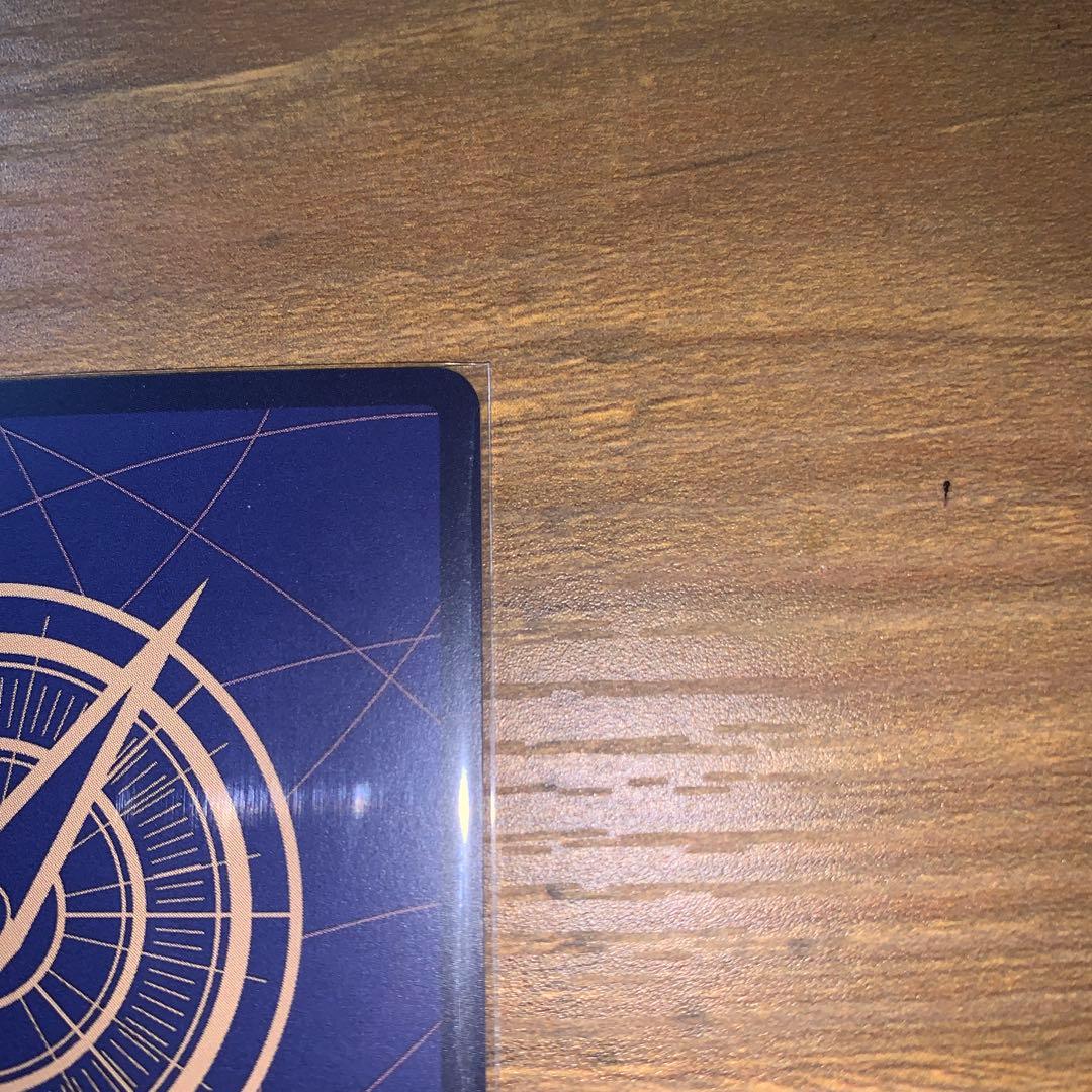 ぴ*こ様 ワンピースカード　神の島の冒険　白ひげ　エドワード・ニューゲート SP