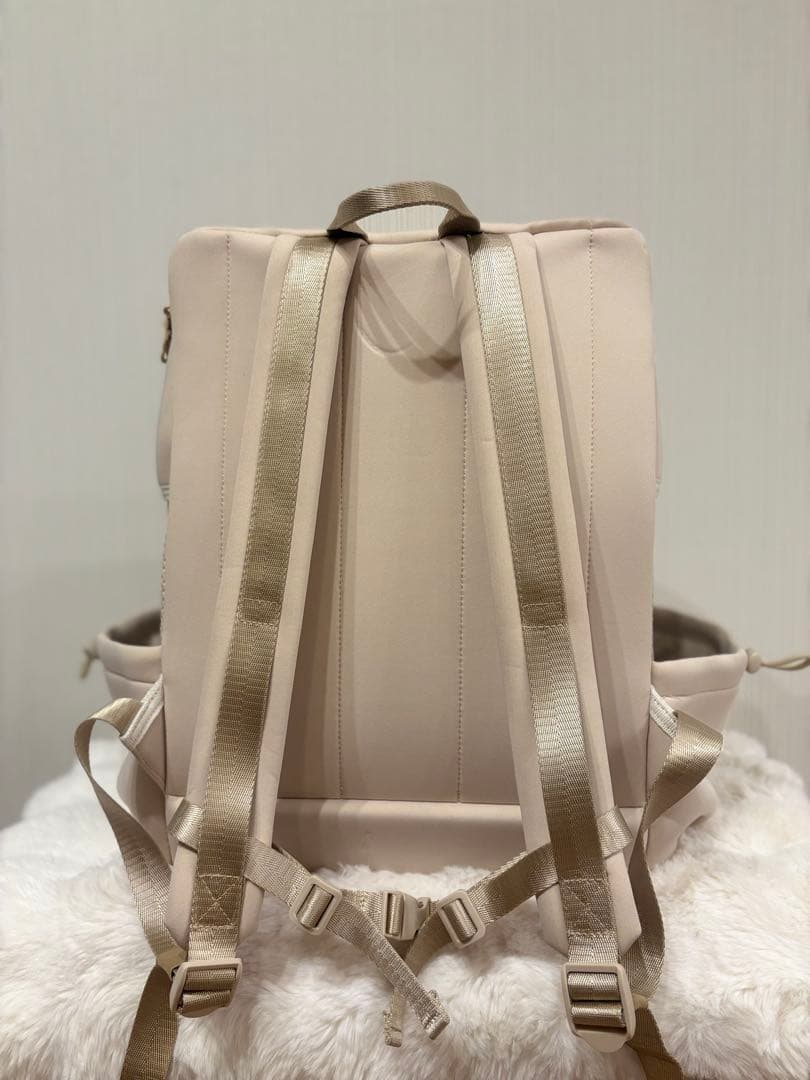 CITYDOG ベージュ キャリーバッグ