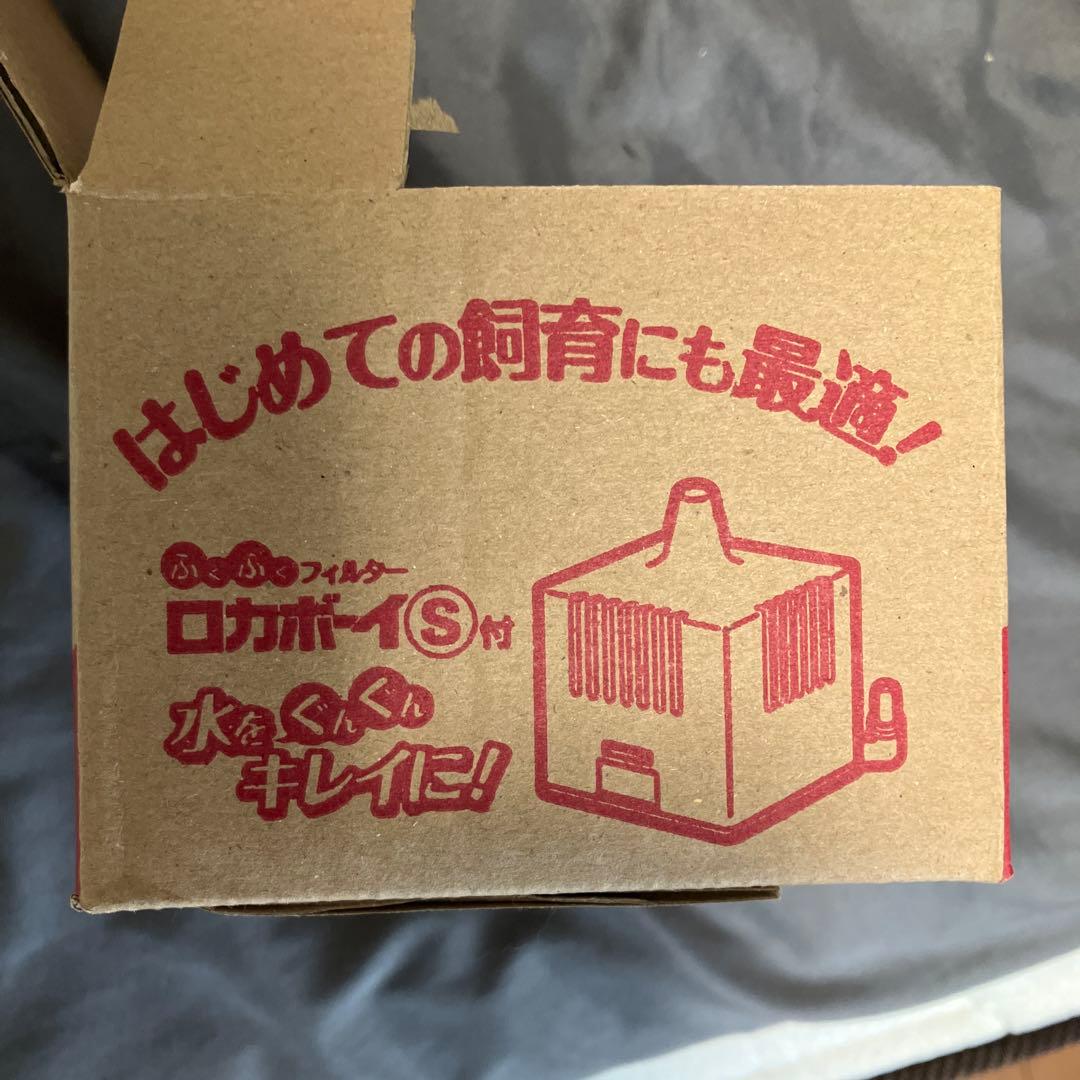 お買い得！ロカボーイS ※１０個セット