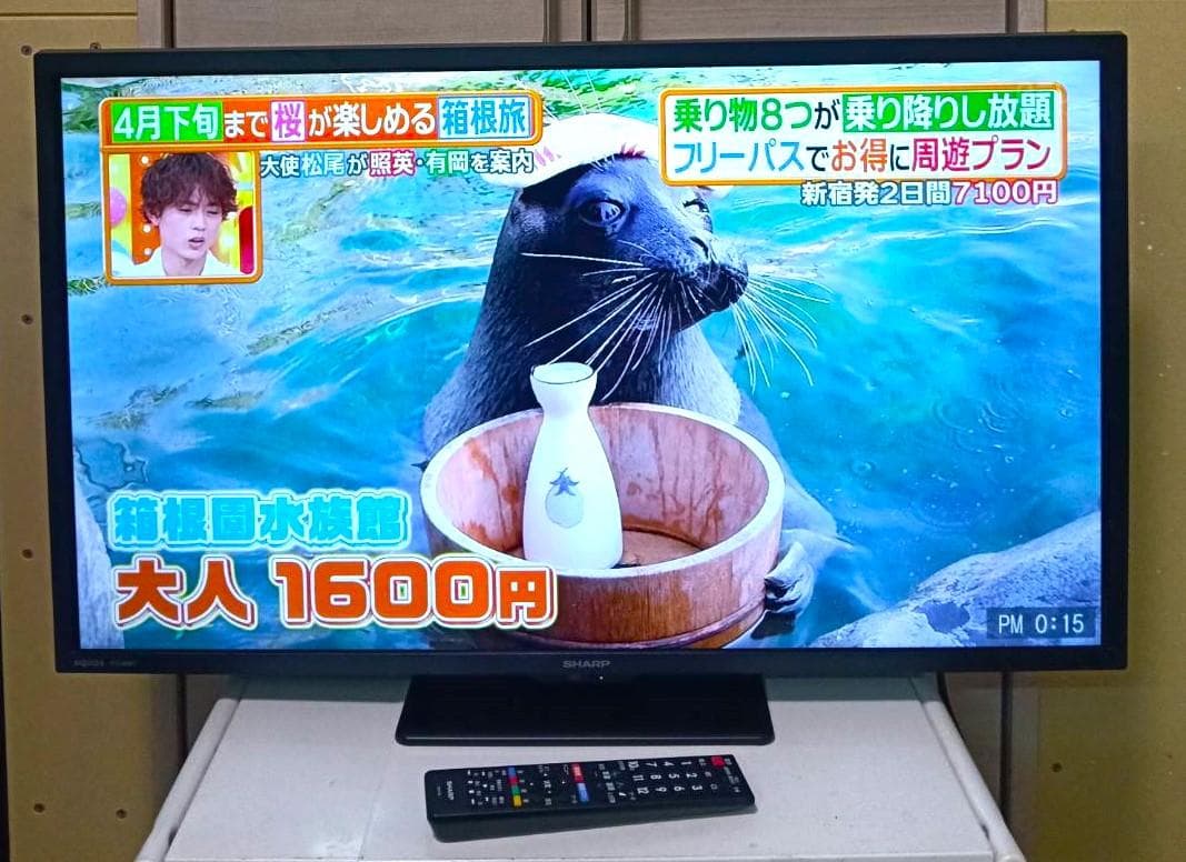 2026年製 SHARP 32V型液晶テレビ 2T-C32GE1