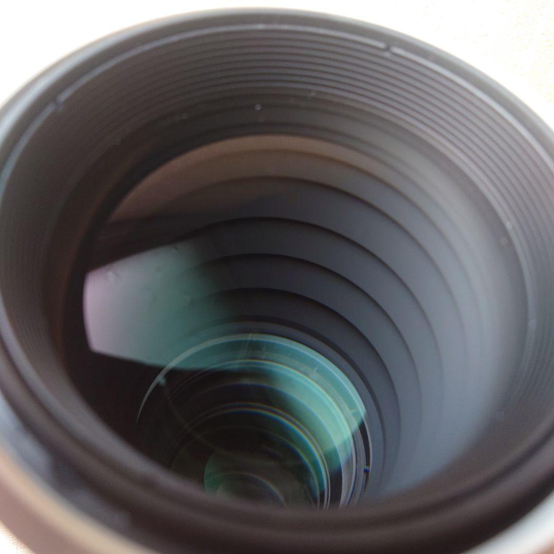 １日限定値下【新品同様】 FE 300mm F2.8 GM OSS