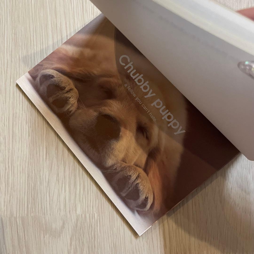 【希少未使用】90s 平成レトロ　メモ帳　犬　カミオジャパン　シール付き　当時物