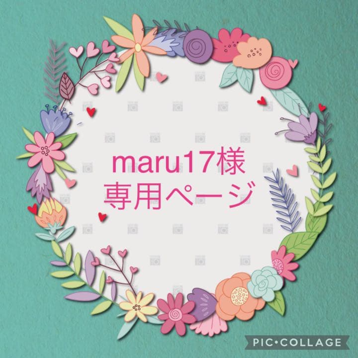 ご確認用 〜rara〜 ヨーキーウエスティ 羊毛フェルト