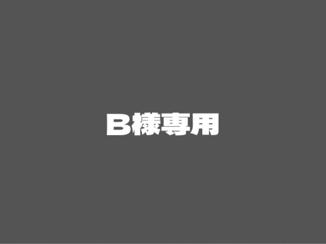 ドッグフード B