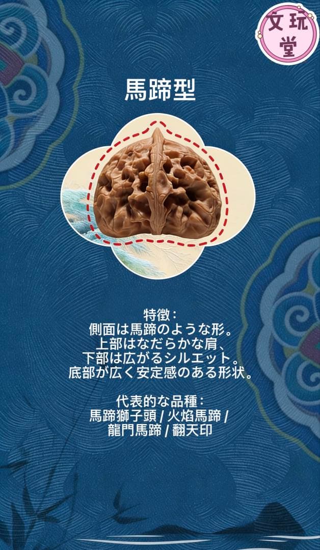 文玩くるみの特徴を知る：10種類の桩型と代表的な品種