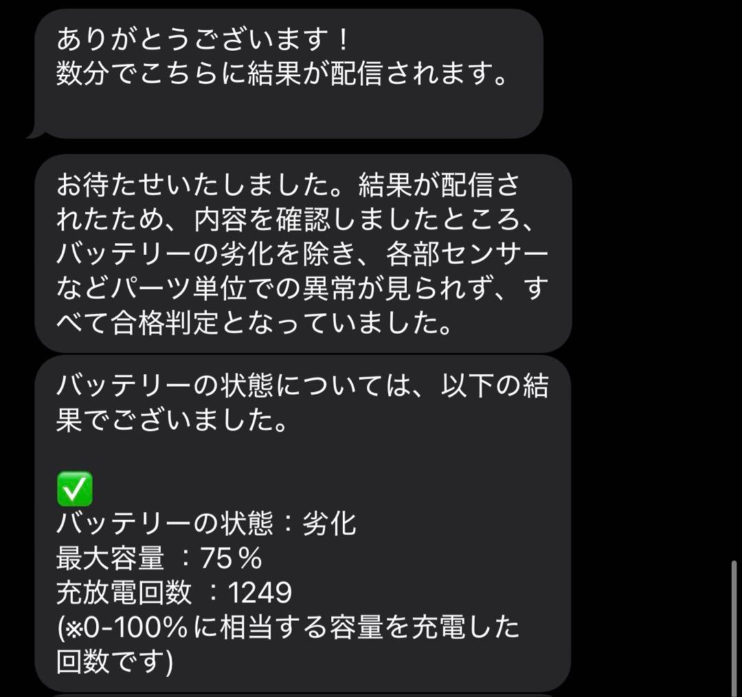 サラディン iPad Pro 10.5インチ 256GB