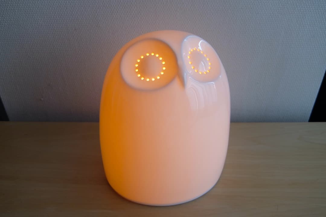 南部鉄器 急須カラーポット KOSHI アラレ白 伝統工芸 インテリアに