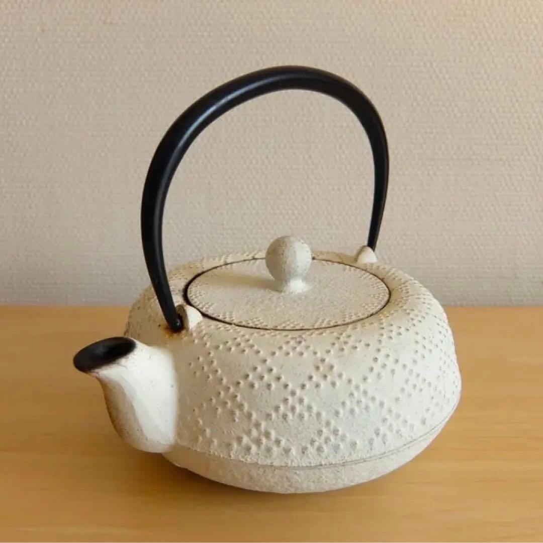 南部鉄器 急須カラーポット KOSHI アラレ白 伝統工芸 インテリアに