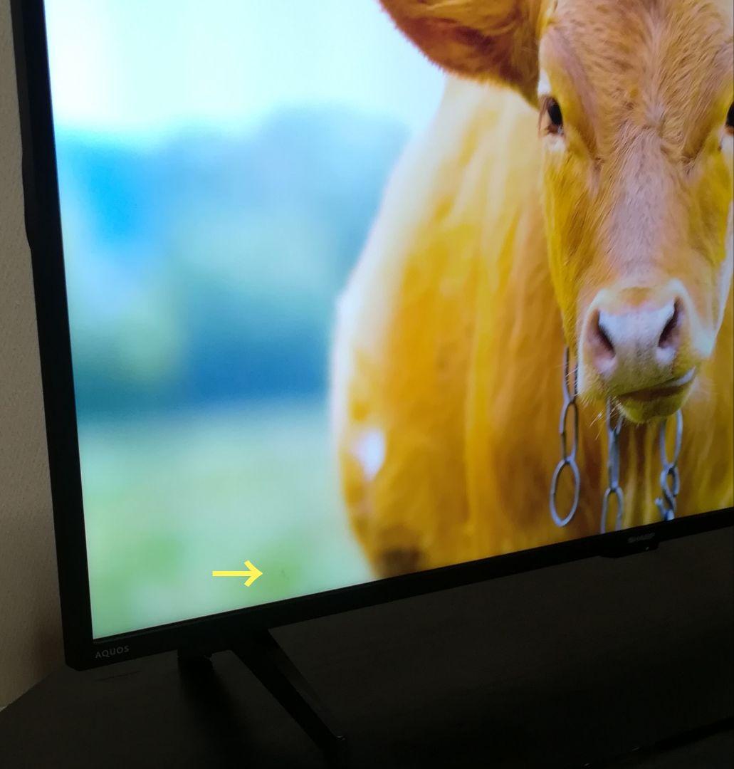 【Google TV／4Kチューナー内蔵】43型 4K液晶テレビ