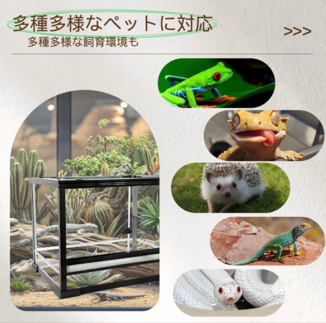 ガラス飼育ケージ、爬虫類両生類飼育ケージ60x45x80cmオリジナル送料込み