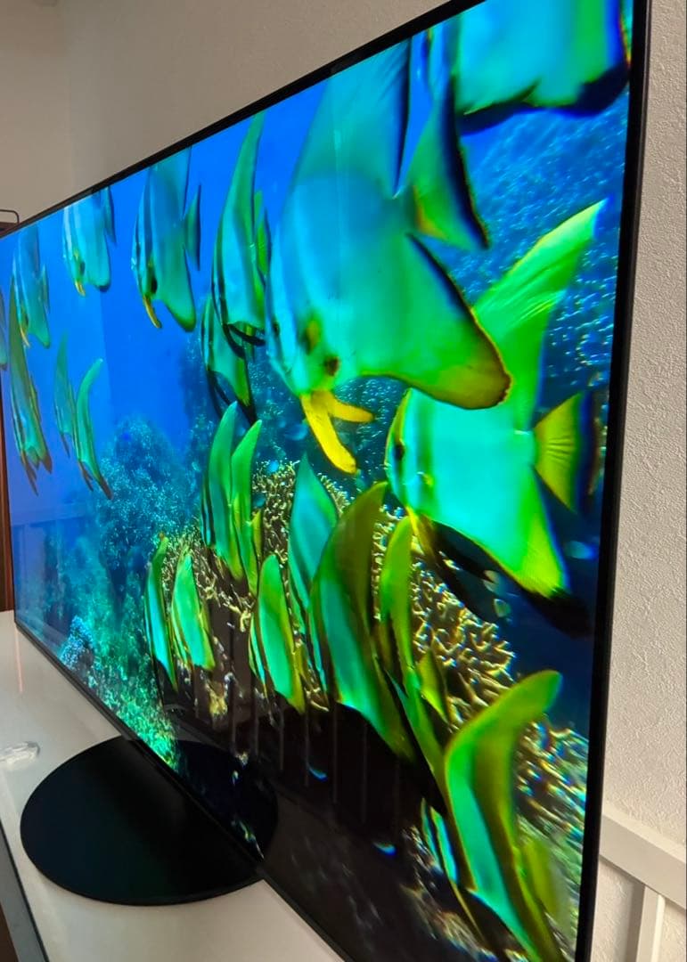 Panasonic 型番:TH-55HZ1000 4K 有機EL テレビ