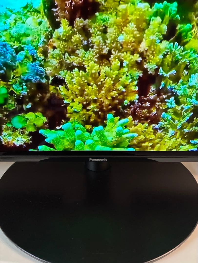 Panasonic 型番:TH-55HZ1000 4K 有機EL テレビ