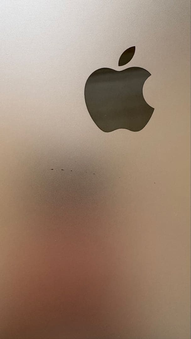 【訳あり格安】MacBook Pro 16インチ Core i9/1TB