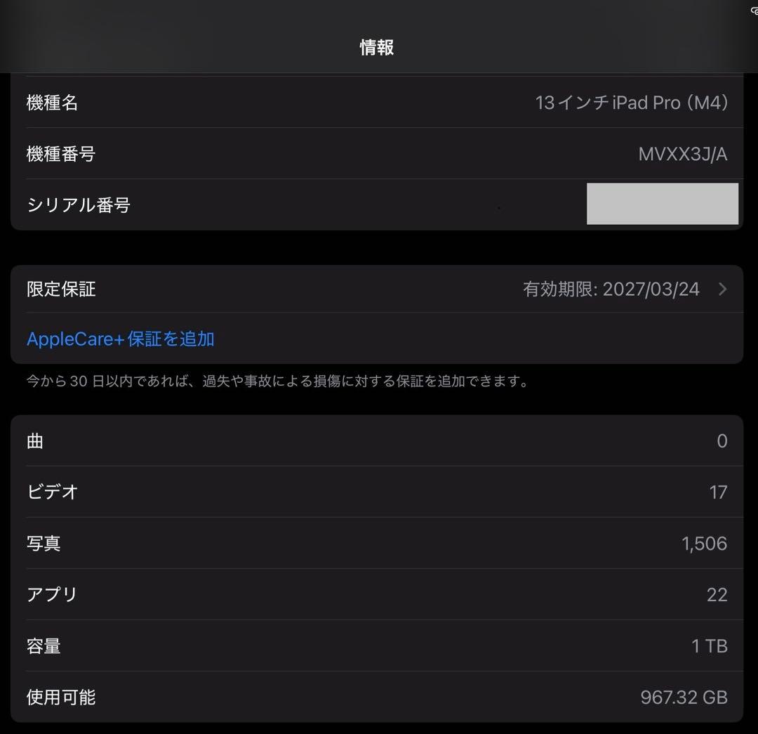 13インチ iPad Pro (M4) 1TB セルラー