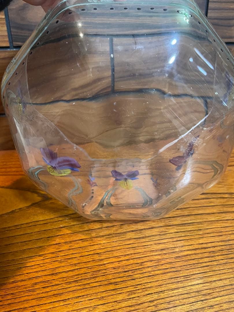 orrefors sweden glass エナメル彩　ビンテージ　EE.AL
