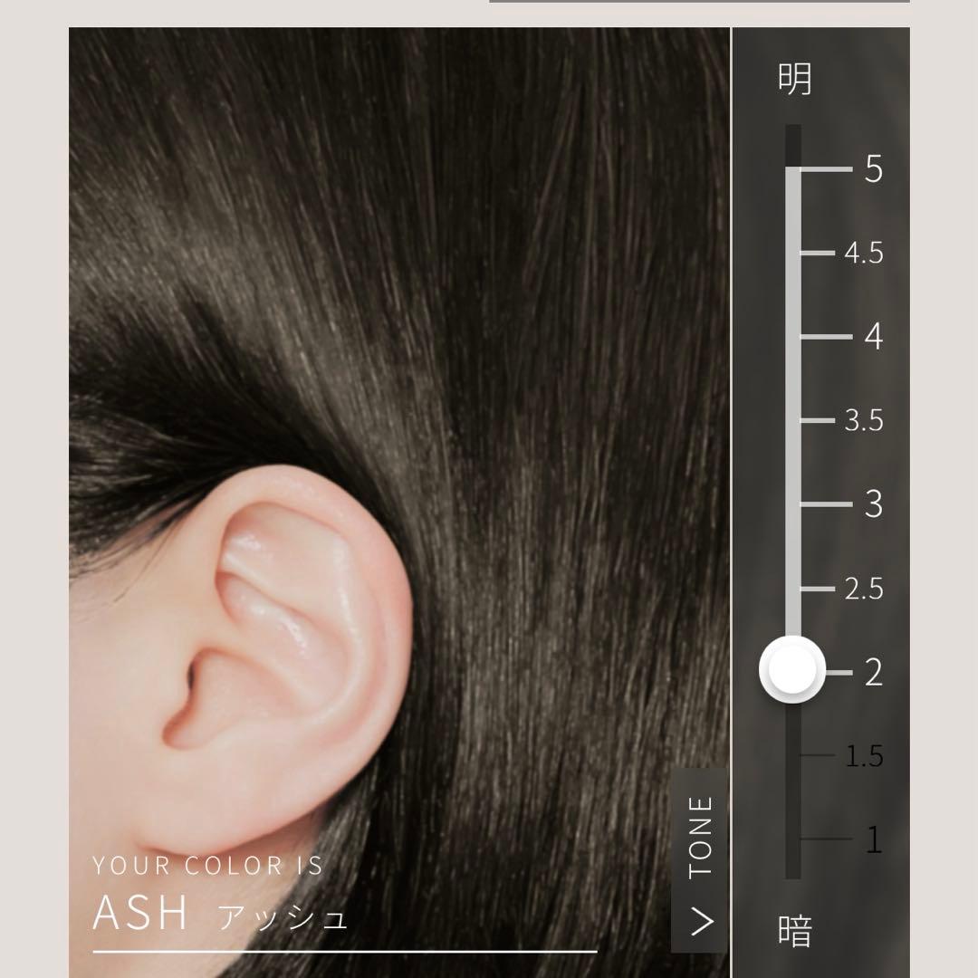 新品未使用❣️カラリス　COLORIS アッシュ2.0 ロングの方向け‼️2箱セット