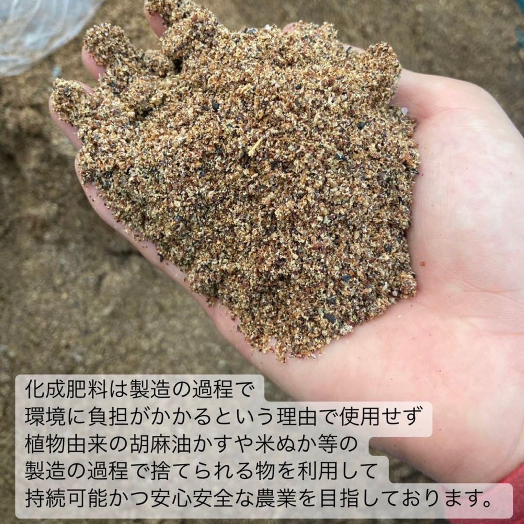 【農薬不使用】パウダー10種類飲み比べセット60本(各3本入り×10種類)×2