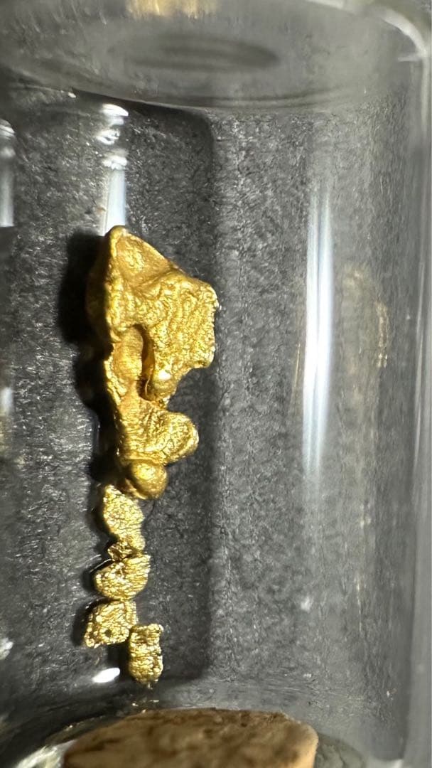 砂金　観賞・資料用