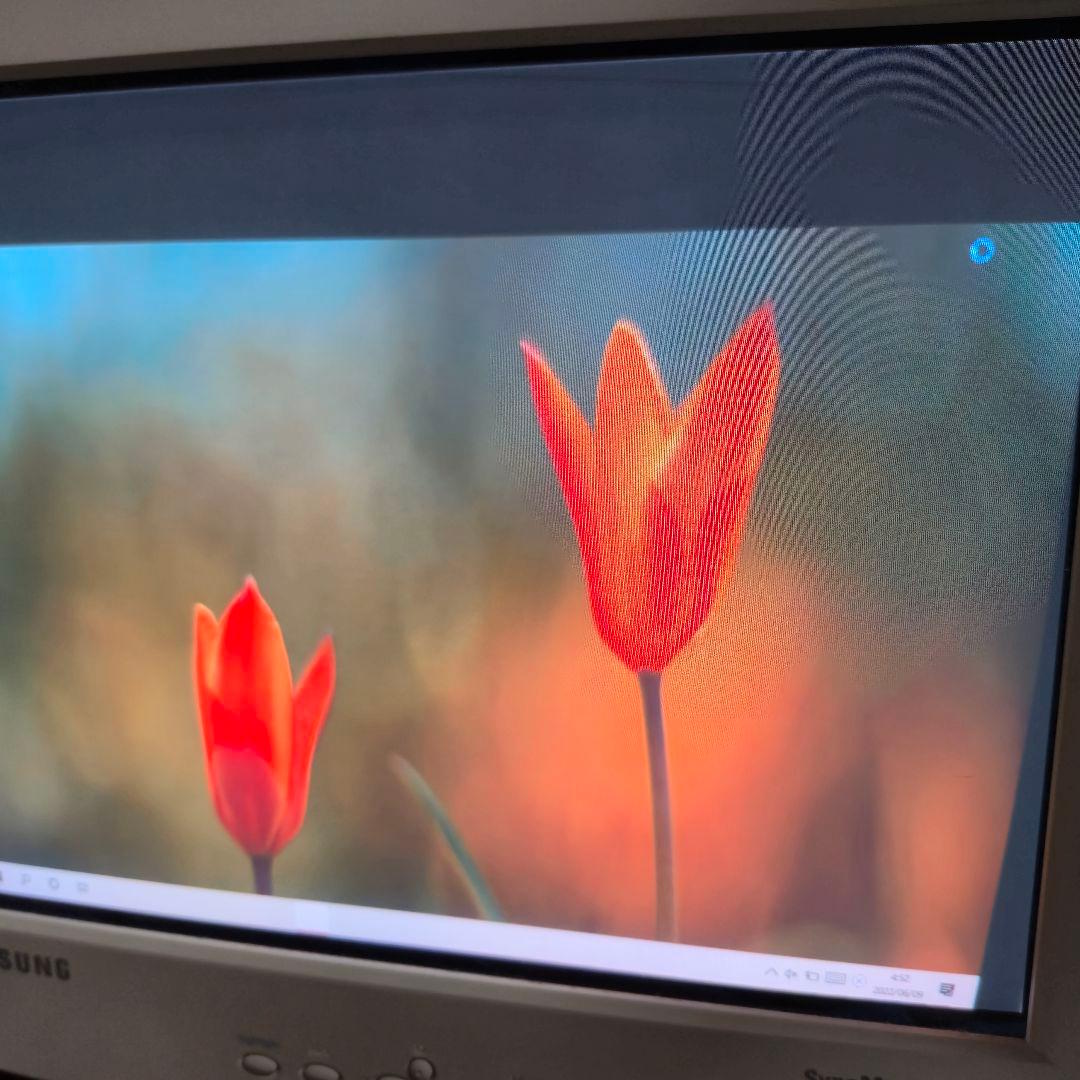 ​動作確認済Samsung SyncMaster 765DFX CRTブラウン管
