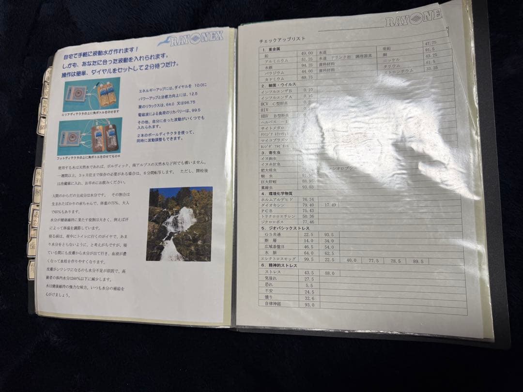 【動作確認済】レヨネックス レヨメータ PS10 バイオレゾナンス