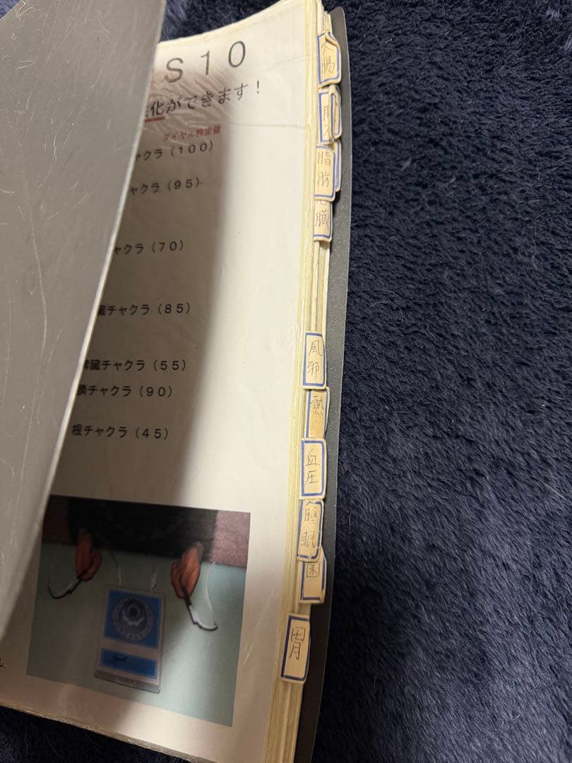 【動作確認済】レヨネックス レヨメータ PS10 バイオレゾナンス