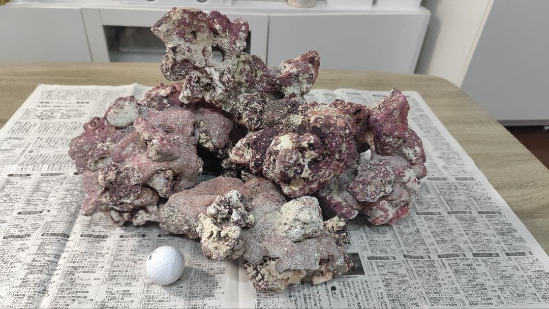 ☆ライブロックレプリカ☆人工ライブロック☆約13～14kg☆