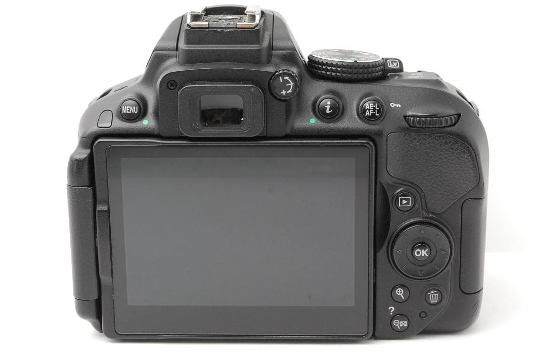 【光学美品　ダブルレンズセット】Nikon D5300　WiFi機　スマホ転送